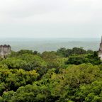 Flores – Tikal – Flores